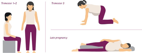 pregnancy exercises according to trimester
